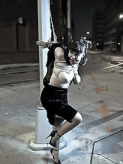 Blondes: babes, bimbos, and sluts